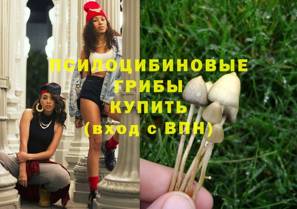 амфетамин Белокуриха