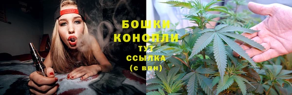 амфетамин Белокуриха
